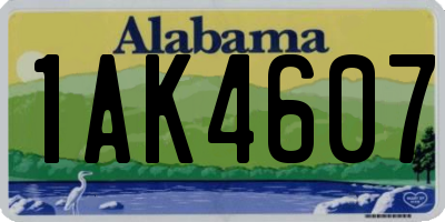 AL license plate 1AK4607
