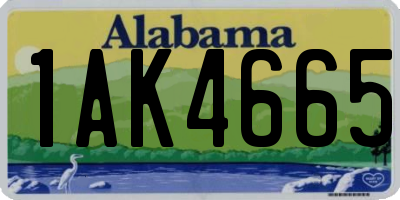 AL license plate 1AK4665