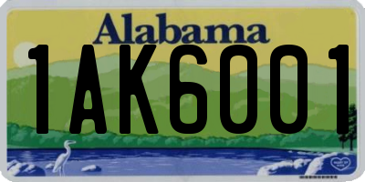 AL license plate 1AK6001