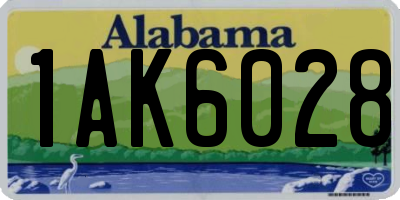 AL license plate 1AK6028