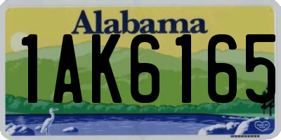 AL license plate 1AK6165
