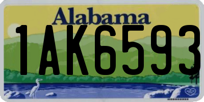 AL license plate 1AK6593