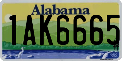 AL license plate 1AK6665