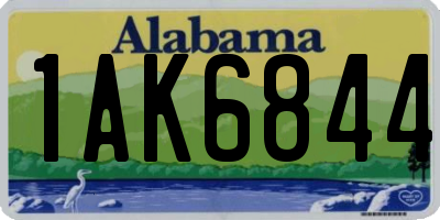 AL license plate 1AK6844
