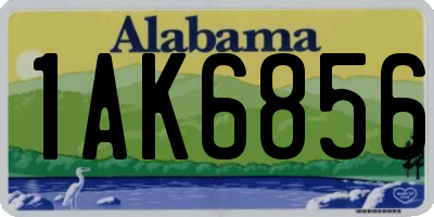 AL license plate 1AK6856