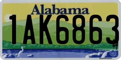AL license plate 1AK6863