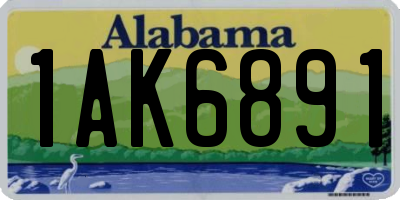 AL license plate 1AK6891