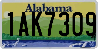 AL license plate 1AK7309