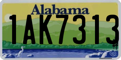 AL license plate 1AK7313