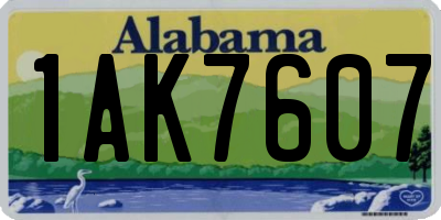 AL license plate 1AK7607