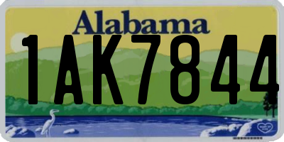 AL license plate 1AK7844