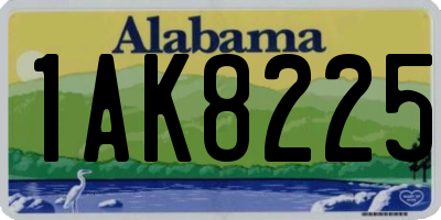 AL license plate 1AK8225