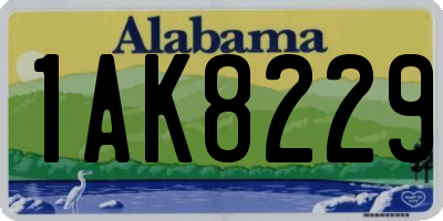 AL license plate 1AK8229