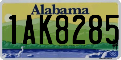 AL license plate 1AK8285