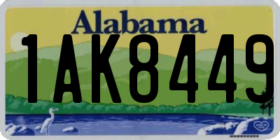 AL license plate 1AK8449