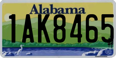 AL license plate 1AK8465