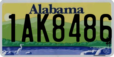AL license plate 1AK8486