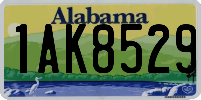 AL license plate 1AK8529