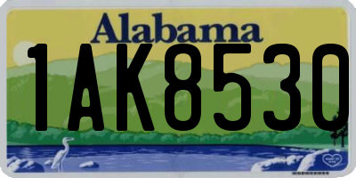 AL license plate 1AK8530