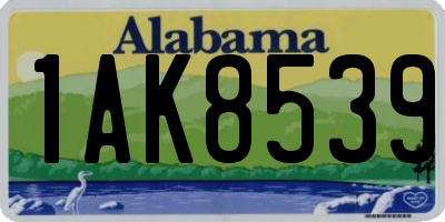 AL license plate 1AK8539