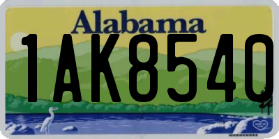 AL license plate 1AK8540