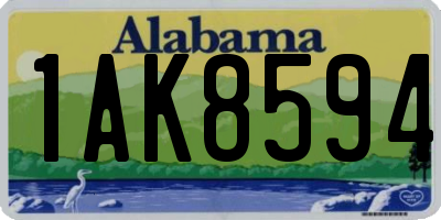AL license plate 1AK8594