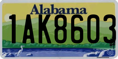 AL license plate 1AK8603