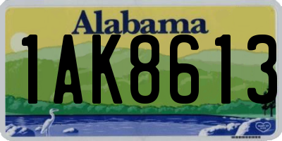 AL license plate 1AK8613