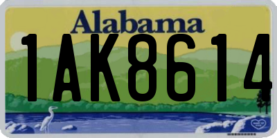 AL license plate 1AK8614