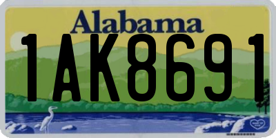 AL license plate 1AK8691