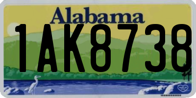 AL license plate 1AK8738