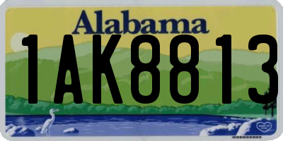 AL license plate 1AK8813