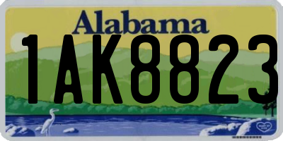 AL license plate 1AK8823