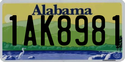 AL license plate 1AK8981