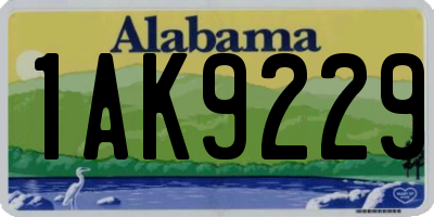 AL license plate 1AK9229
