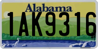 AL license plate 1AK9316