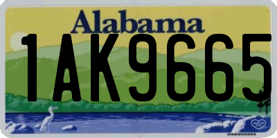 AL license plate 1AK9665
