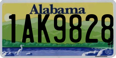 AL license plate 1AK9828