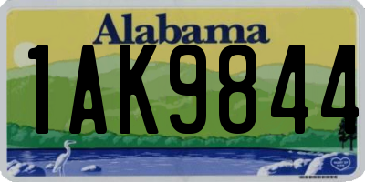 AL license plate 1AK9844
