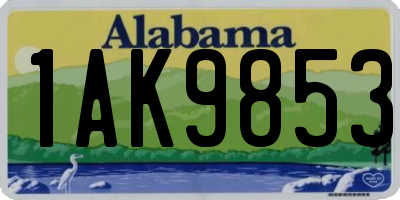 AL license plate 1AK9853