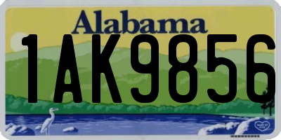 AL license plate 1AK9856