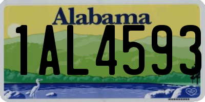 AL license plate 1AL4593