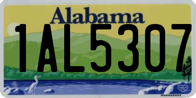 AL license plate 1AL5307