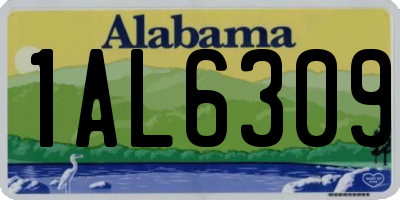 AL license plate 1AL6309