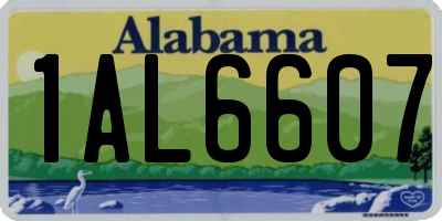 AL license plate 1AL6607