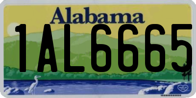 AL license plate 1AL6665
