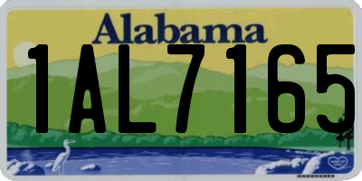 AL license plate 1AL7165