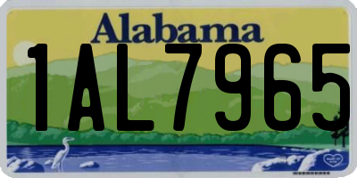 AL license plate 1AL7965