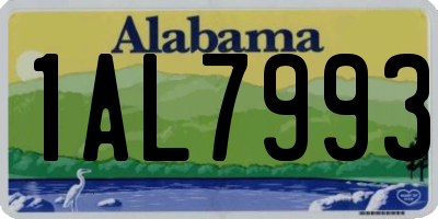 AL license plate 1AL7993