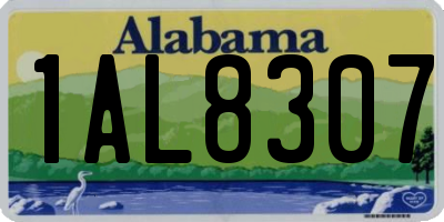AL license plate 1AL8307